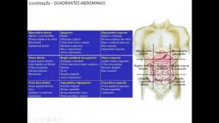 ANATOMIA TOPOGRÁFICA DE TRONCO CAVIDADE ABDOMINAL  ANATOMOPATOLOGIA [upl. by Esertal510]