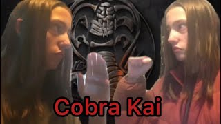 Cobra Kai Season 3 Recreation [upl. by Adrian]