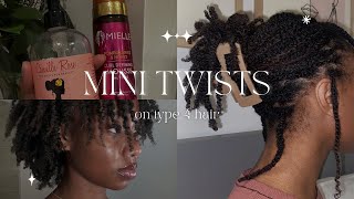 Perfecting My Mini Twist Routine for Natural Hair Growth [upl. by Anirahtak]