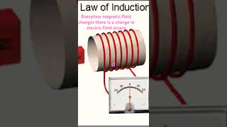 Faradays law of induction [upl. by Alios]