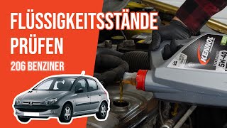 Die Flüssigkeitsstände prüfen Peugeot 206 14 8V 📏 [upl. by Dinerman]