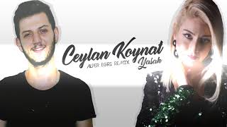 Alper Eğri Ft Ceylan Koynat  Yasak Remix Ünal Turan Special [upl. by Ecnerol]