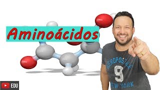 Aminoácidos  Ligações peptídicas  Bioquímica  Compostos orgânicos  Biologia com o tubarão [upl. by Ahsaetan721]