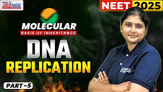 DNA Replication Simplified  neet2025 biology 12thbiology jeeneetcoaching [upl. by Holmen]