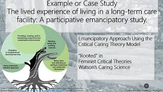 Nurs500 The Critical Emancipatory Approach to Practice [upl. by Sackman]