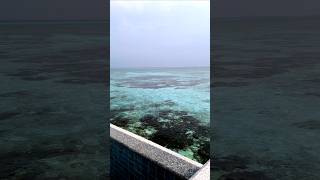 View from overwater bungalow in the Maldives lemeridienmaldives8165 maldives travel [upl. by Leunam73]