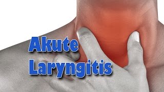 Erkrankungen der Atemwege  Akute Laryngitis  Pflege Kanal [upl. by Fransisco]