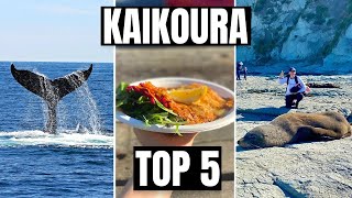 Kaikoura New Zealand  WHAT TO DO in Kaikoura [upl. by Alger778]