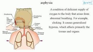 asphyxia [upl. by Franchot534]