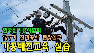 배전가공 실습 교육 한국전기공사협회 177기 전기공사 현장실무교육 [upl. by Rosaleen]