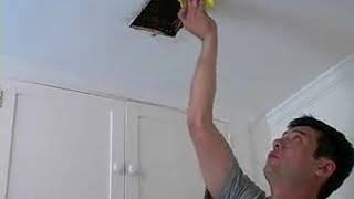 How to Kill Mold Before Painting for Home Improvement [upl. by Meggie667]