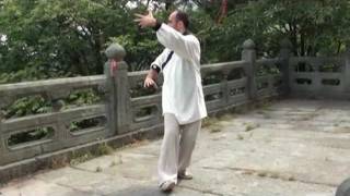 wudang wuxing ziran gong [upl. by Darej21]