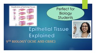 AnimalTissueEpithelialTissueTypesFunctionsICSECBSE9thBiology [upl. by Ansel]