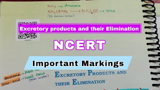 Excretory Products And Their EliminationClass 11NCERTChapter 19Quick Revision SeriesNEETAIIMS [upl. by Nylecyoj]