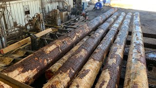 Sawing 40 ft Pine Log Into a 12 x 12 Timber With 66” Solid Tooth Saw 17 [upl. by Neerroc]