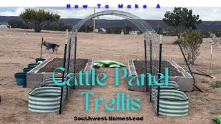 Cattle Panel Trellis [upl. by Elisabeth]