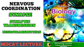 SYNAPSE  SYNAPTIC TRANSMISSION  NEUROTRANSMITTER AND TYPES CLASS 12 BIOLOGY FEDERAL AKU MDCAT [upl. by Euqinehs]