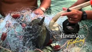 Hawaii Goes Fishing episode HGF308 promo [upl. by Apfel]