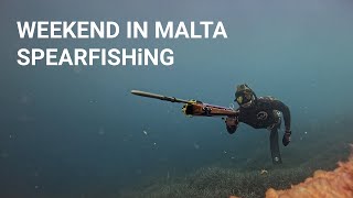 A quick spearfishing trip to Malta October 2024 [upl. by Ferretti]