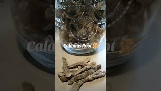 Calamus Root [upl. by Haimaj250]