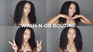 LOW POROSITY CURLY HAIR ROUTINE How To Achieve MOISTURE and DEFINITION Beginner Friendly [upl. by Ime]