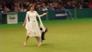 Crufts dog dancing competition 2009 [upl. by Regina718]