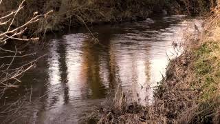 River Alyn Mold Flintshire North Wales [upl. by Farman]