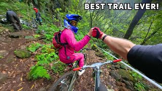 The Trail Every Mountain Biker Dreams of [upl. by Aliam]