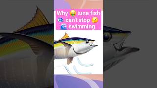 Tuna fish mystery revealed shorts facts shortsfeed funny [upl. by Avan]