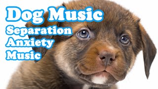 Deep Separation Anxiety Music for Dog Relaxation Helped 6 Million Dogs Worldwide NEW [upl. by Sadnak]