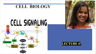 Cell Signaling Lecture47 Cell Biology Mode of Signaling PI3K pathway mTOR pathway [upl. by Eam]