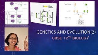 GeneticsMonohybridCrossPunnettsSquarePhenotypeGenotypeRatioCBSE12thBiology [upl. by Faith481]