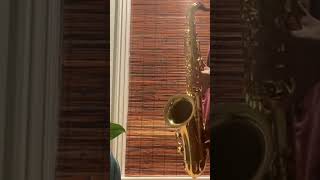 Overtone gliss tenor sax [upl. by Marnia]