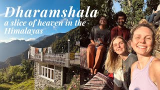 DHARAMSHALA INDIA  a spiritual journey [upl. by Sheena152]