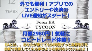 投資 為替 自動売買 FX ライブ配信 シグナル Fire 誰でもできる不労所得 EA Tycoon 20241018 [upl. by Aseneg]