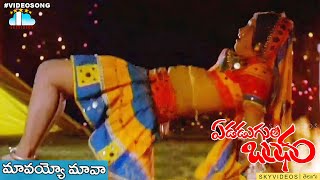 Edadugula Bandham Movie l Mavayyo Mama Video Song l Mohan Babu Jayasudha skyvideostelugu [upl. by Sena]