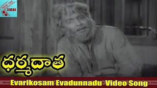 Evarikosam Evadunnadu Video song  Dharma Daata Movie  ANR Kanchana  MovieTimeCinema [upl. by Wilburt448]