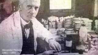 Alexander Fleming Biography [upl. by Gosselin961]