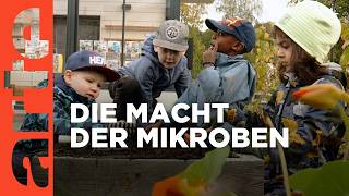 Die Macht der Mikroben  Doku HD  ARTE [upl. by Kcirdec]