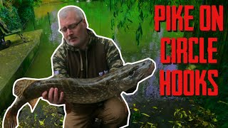 Pike fishing with Circle Hooks [upl. by Alexandria]