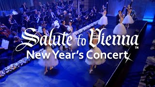 Salute to Vienna New Years Concert 2025 [upl. by Naoh]