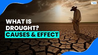 What is Drought  Causes amp Effects of Drought  Letstute [upl. by Aital]