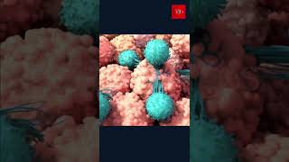 immunotherapy cancer treatment  how does immunotherapy work  cartt cell  animated  shorts [upl. by Nnylkoorb]