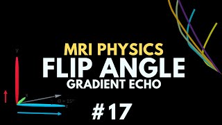 Flip Angle and Ernst Angle in Gradient Echo MRI  MRI Physics Course 17 [upl. by Nerot512]