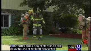 Cutlerville firefighter saves small dog [upl. by Loriner]