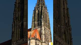 Die Glocken der St Lambertikirche zu Münster  Vollgeläut [upl. by Kellen]