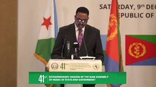 HE Dr Workneh Gebeyehu at the 41st ExtraOrdinary Summit of IGAD Heads of State and Government [upl. by Braswell]