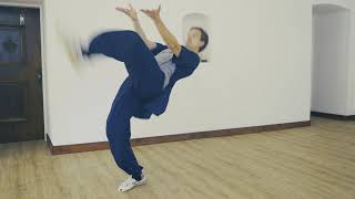 Wudang Ba Gua Zhang  Wudang Academy Vienna  Full Form Demonstration [upl. by Jeanna]