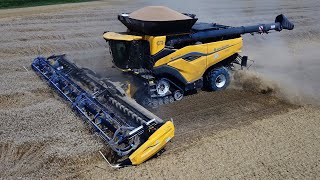 Monster Combine Harvester in Italy  New Holland CR 11  First in Europe  Wheat Harvest 2024 [upl. by Kobi]