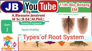 11thBioBotany3Vegetative MorphologyTypes of Root System [upl. by Fara]